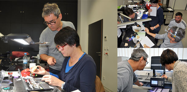 Kronen natürlich und ästhetisch gestalten