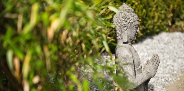 Moderne Architektur, entspannte Atmosphäre und zukunftsorientierter Klimaschutz