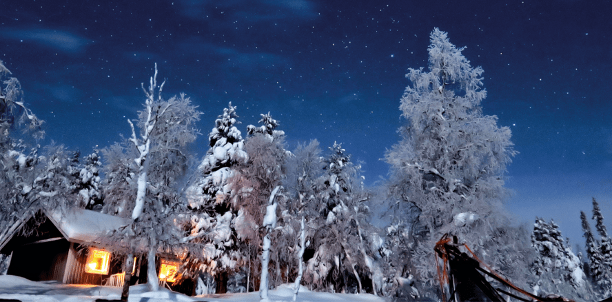 Mit Huskys durch den Märchenwald