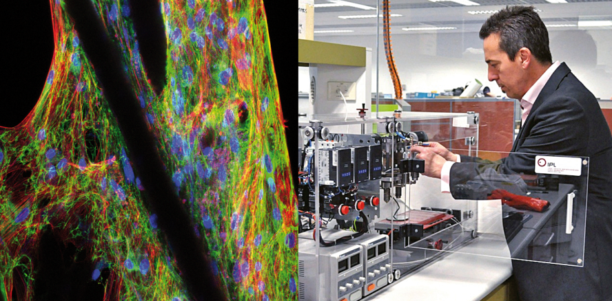 3-D-Druck-Fortschritt eröffnet Anwendung in regenerativer Medizin