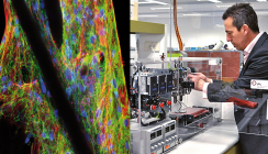 3-D-Druck-Fortschritt eröffnet Anwendung in regenerativer Medizin