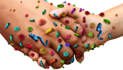 Hygienemanagement – ein Topthema von heute