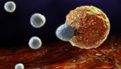 Immunzellen lindern Entzündungen im Mund