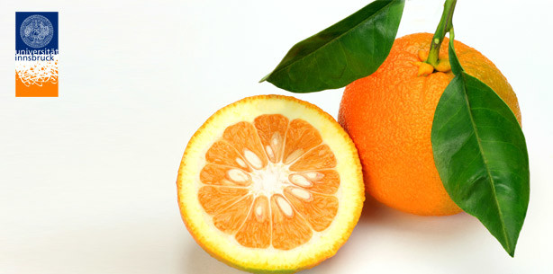 Keim-Killer aus der Bitterorange