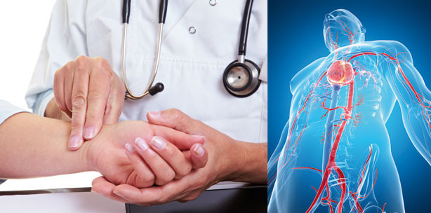 Kardiovaskuläre Erkrankungen und Parodontitis