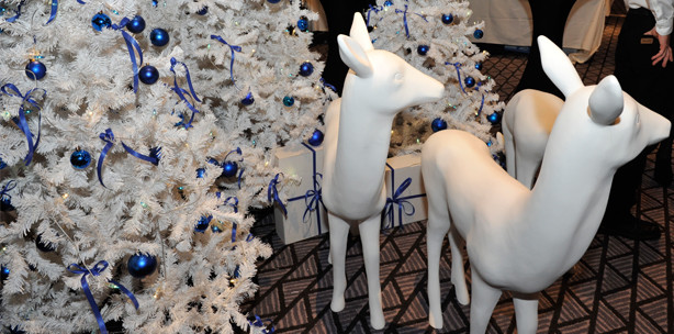 Schauen, staunen, prüfen, kaufen