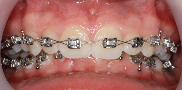 Ästhetik und Funktion