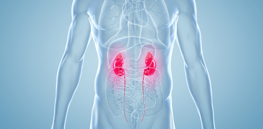 Parodontitis erhöht Sterberate von Patienten mit Niereninsuffizienz