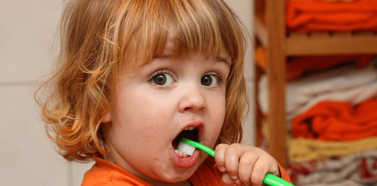 Zähneputzen in der Kita: Rheinland-Pfalz zeigt, wie es geht