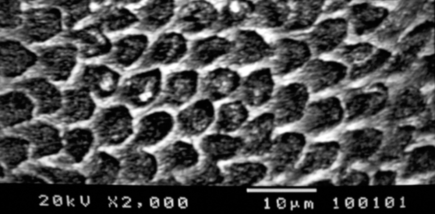 „Vorteile der KGIZ überwiegen bei Weitem“