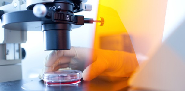 Neue Osteoporose-Therapie setzt bei Knochenbiologie an