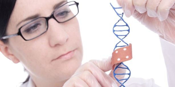 Neue Mechanismen bei Wundheilung und Narbenbildung entdeckt
