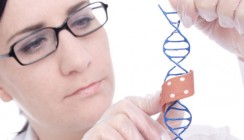 Neue Mechanismen bei Wundheilung und Narbenbildung entdeckt
