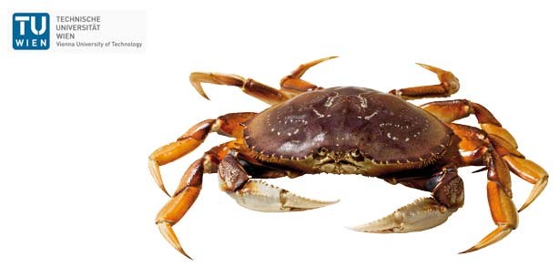 Medikamente aus ­Krabbenschalen