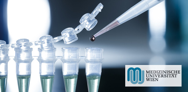 „Selbstschutz“ von Tumorzellen kann blockiert werden