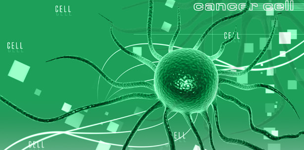 Heilpflanzen können Tumorwachstum stoppen
