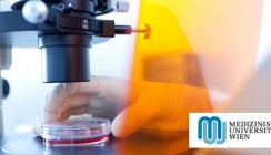 Mechanismus für effizientere Krebstherapie entschlüsselt