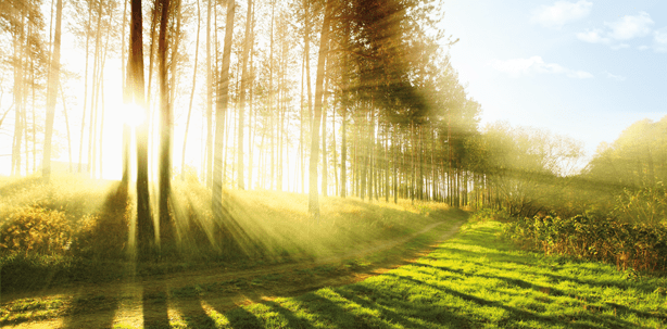 Die Natur des Lichts – kurz und bündig