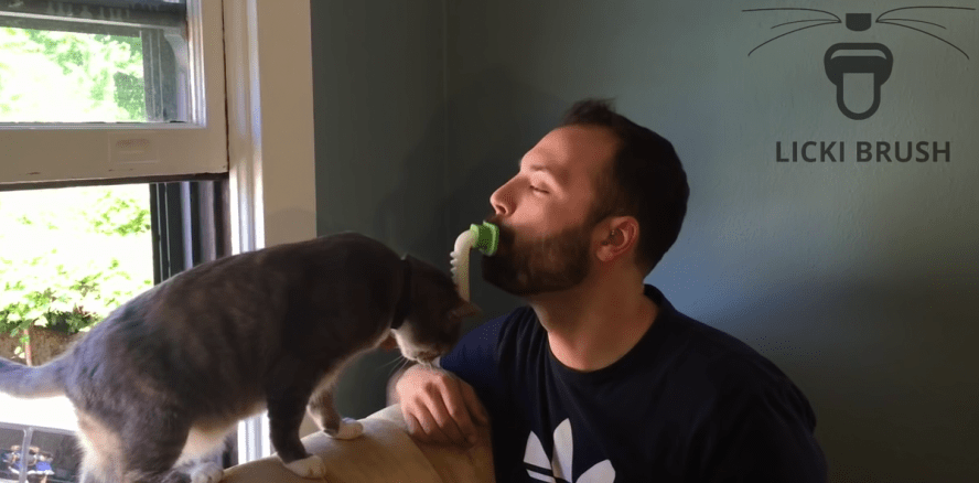 Für echte Tierfreunde: Damit können Sie das Fell ihrer Katze lecken