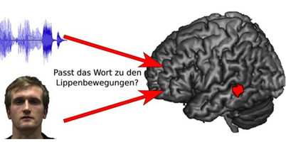 Lippenlesen: Wie wir mit den Augen hören