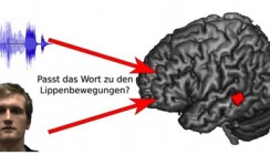 Lippenlesen: Wie wir mit den Augen hören