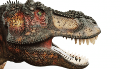 Hatten Dinosaurier Lippen?