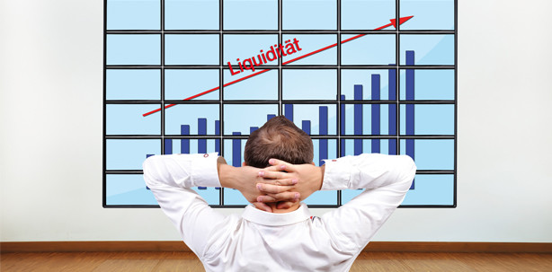 Liquidität: Sicherheit durch professionelles Kreditmanagement