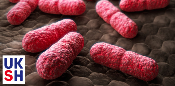 Wie Mangelernährung zu Entzündungen führt