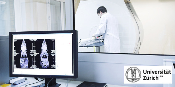 Bilder des Stoffwechsels in Echtzeit