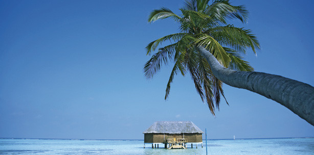 Back to the Future – eine Reise ins Paradies