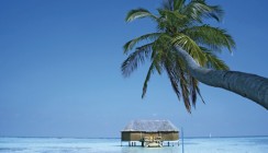 Back to the Future – eine Reise ins Paradies