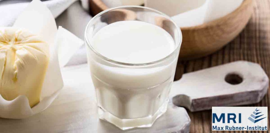Wie gesund sind Milch und Milchprodukte?