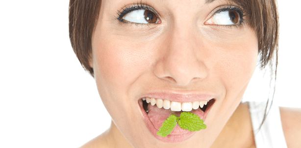 Darum schmeckt Minze so cool