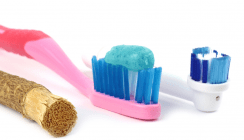 Zähneputzen ohne Plastik – der Miswak machts möglich