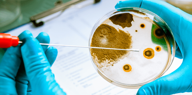 Erfolgsmodell: Hygieneprojekt in hessischen Zahnarztpraxen