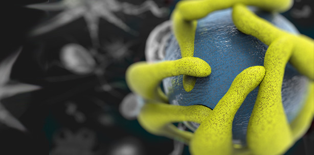 Gen-Pflaster programmiert Zellen