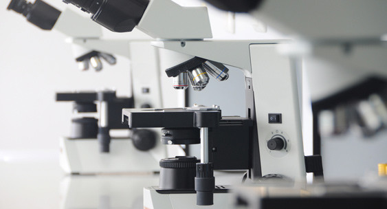 Nanotechnologie gesundheitsschädlich?