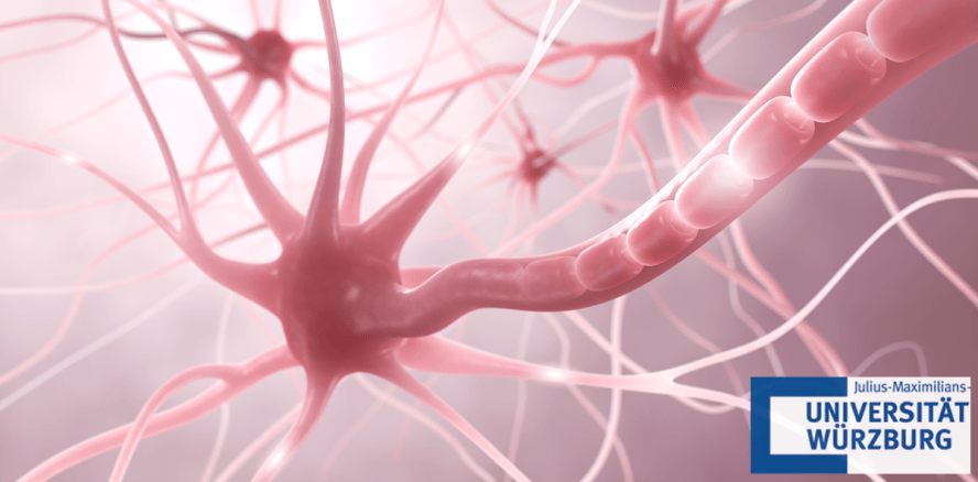 Schmerz: Eine Frage der Balance