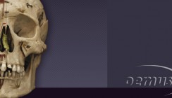Nose, Sinus & Implants – Symposium in Berlin