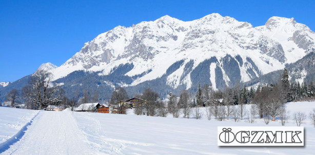 Konservierende Zahnheilkunde in der Steiermark