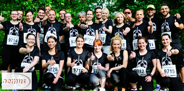 Geschwitzt, gelaufen, gerockt: Die OEMUS MEDIA AG in Bewegung