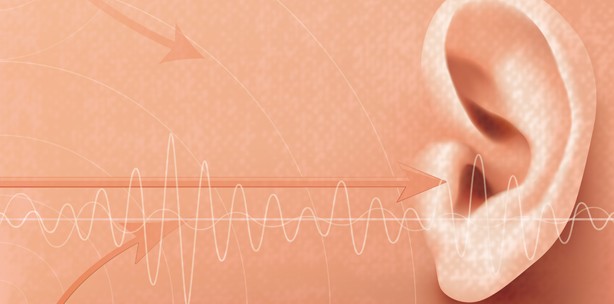 Bionisches Ohr - erneut Organ aus dem 3D-Drucker