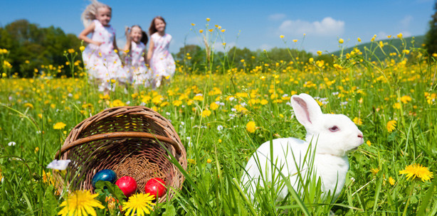 Ein zahnfreundliches Osterfest