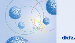 HPV-Antikörpertest als Frühwarnsystem für Krebs im Mundraum