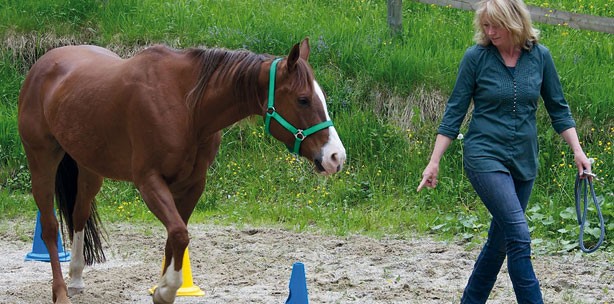 Perspektivenwechsel für Zahntechniker