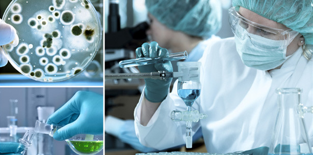 Schweizer Pharmaindustrie führend in Forschung und Entwicklung