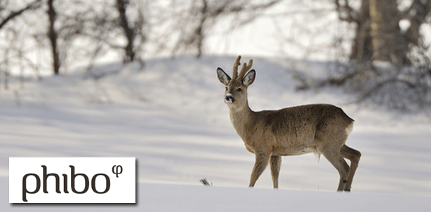 2. Phibo® Symposium mit Jagdreise in Polen