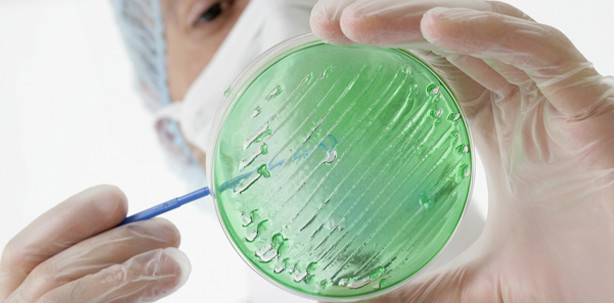 Plazenta enthält orale Bakterien