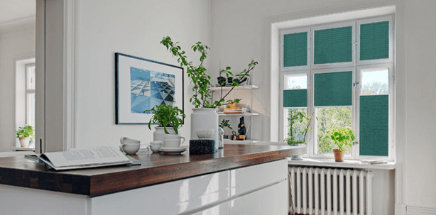 Praxis-Ausstattung: Plissees als Sicht- und Sonnenschutz