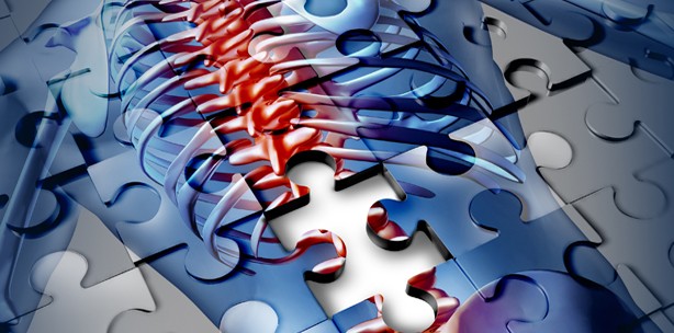 „Reversal Cells“ könnten Osteoporose erklären